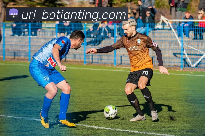 多媒体互动体验